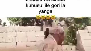Cheka Na Brother K