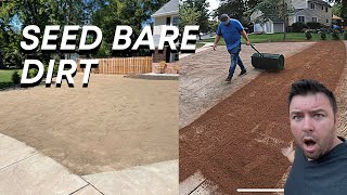HOW TO SEED BARE GROUND