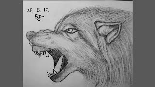 늑대 데생 #pencildrawing #wolf #늑대그리기 #연필드로잉 #연필소묘 #연필데생