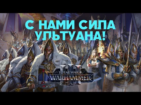 Высшие Эльфы. Фракции Total War Warhammer 3