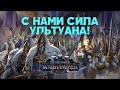 Высшие Эльфы Фракции Total War Warhammer 3 Высшие Эльфы Фракции Total War Warhammer 3