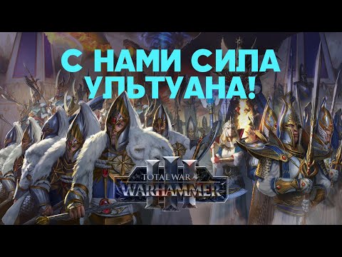 видео: Высшие Эльфы. Фракции Total War Warhammer 3