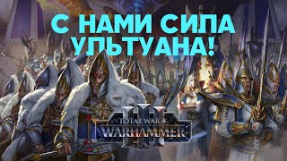 Высшие Эльфы. Фракции Total War Warhammer 3
