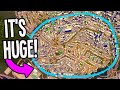 Fixing the Worlds LARGEST Roundabout in Cities Skylines!