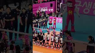#hidden #핑크스파이더스#김연경