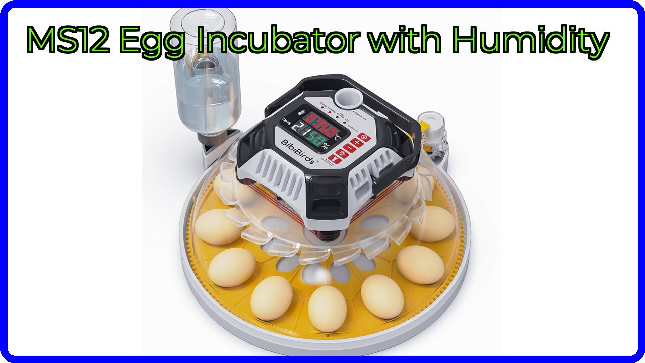 REVIEW (2026): MS12 Egg Incubator with Humidity. ESSENTIAL details
