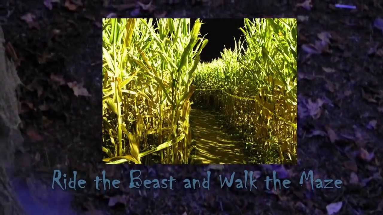 The Buford Corn Maze Comes Alive At Night YouTube the-buford-corn-maze-comes-alive-at-night-youtube