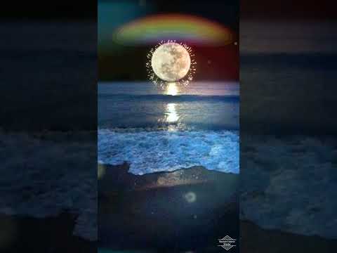 اجمل انشوده دينيه اقوم في الليل النقشبندي روعه 