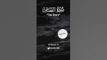 Surah Al-Qasas 71 | Hindi - Urdu Audio translation | سورة القصص #alqasas #hindi #urdu #viral