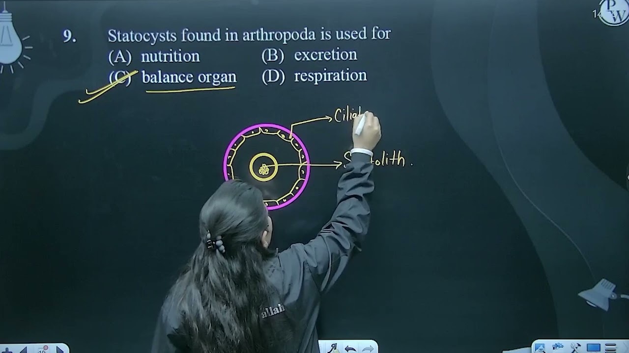 Statocysts found in arthropoda is used for....