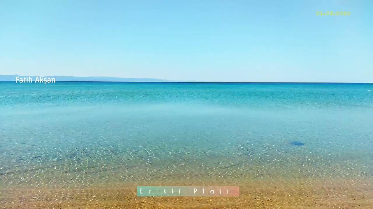 Kendi Kendini Temizleyen Deniz, Saros Körfezi 