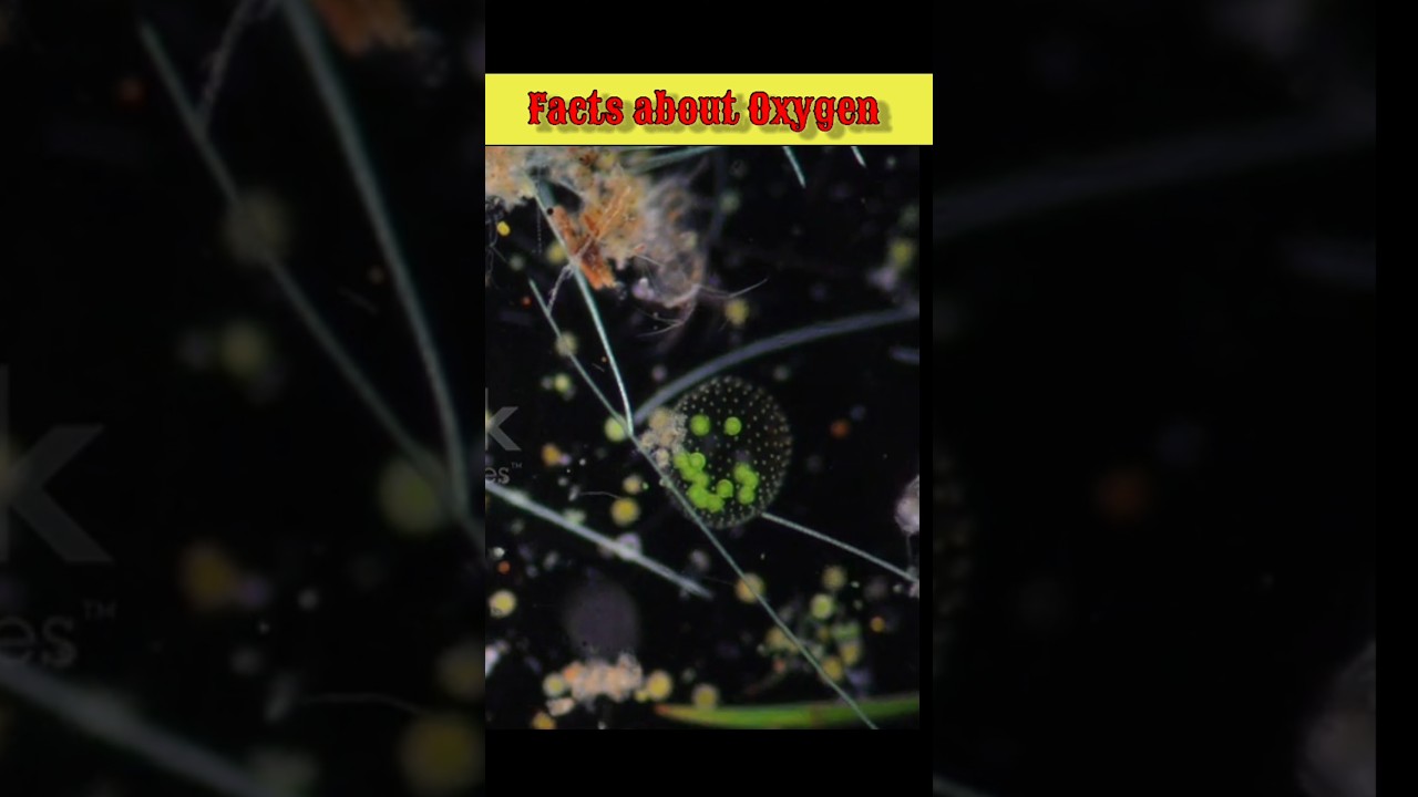 Facts about Oxygen/ 
