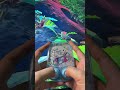 Cinnamoroll Water Gamebot #gaming #squidgame #satisfyingvideo #satisfying #toys