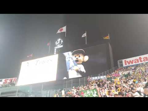 阪神タイガース🐯　ラッキーセブン🎰