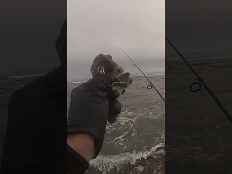 久しぶりに釣り　生存報告的な南部釣行まとめ　2025年5月5日【沖縄　ルアー釣り】