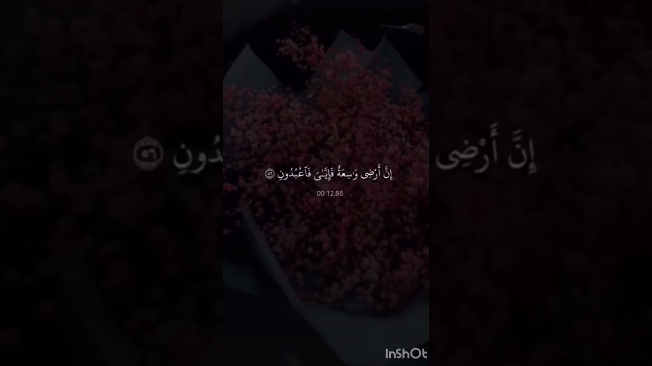 ya ibadi allazina aamanoo🥰🤲