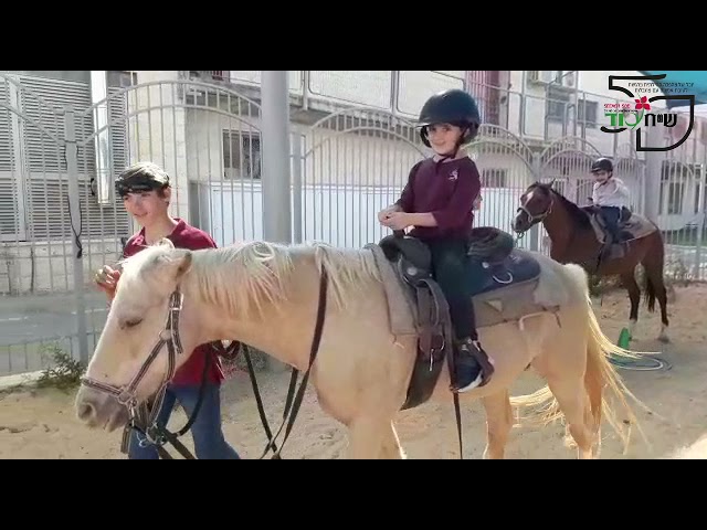 רכיבה טיפולית