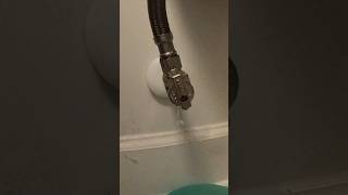 Repair your leaking toilet - Home Repair