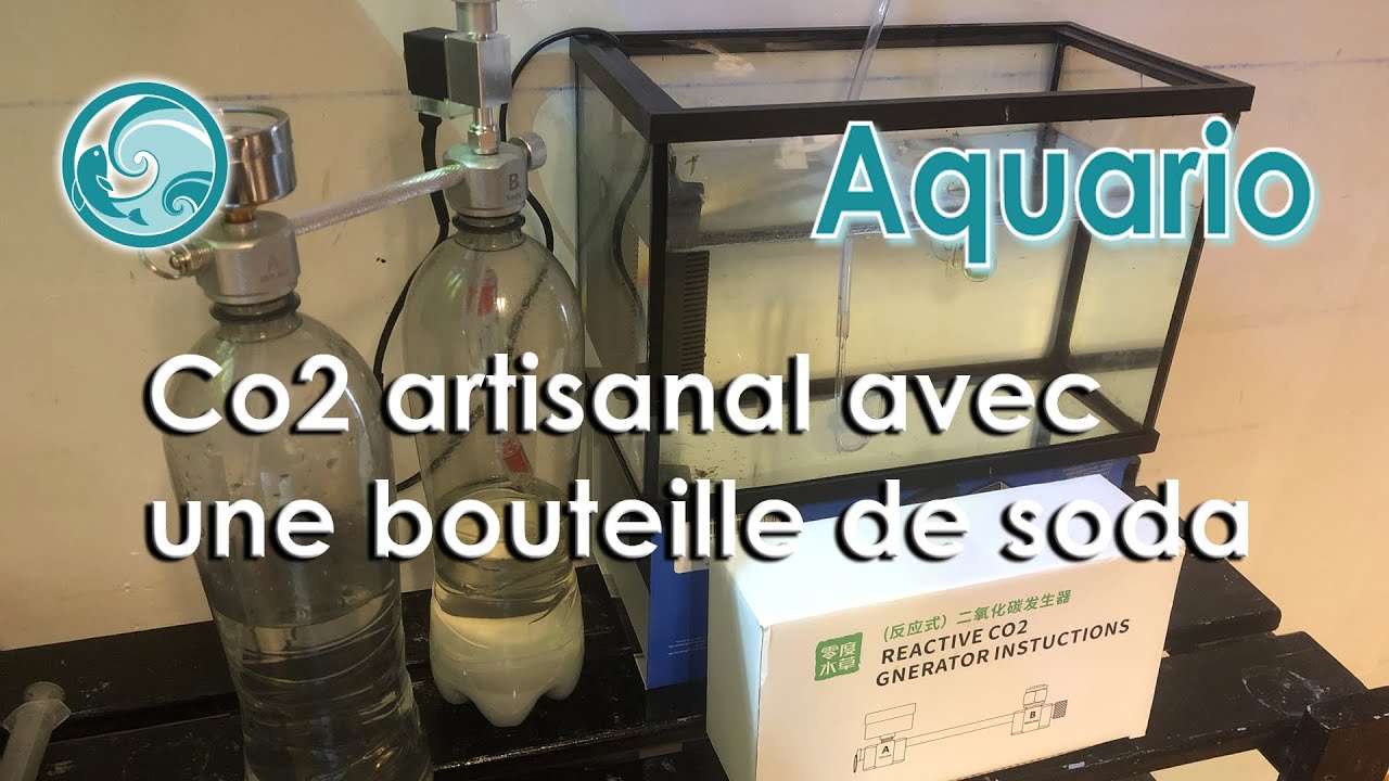 Co2 artisanale avec une bouteille de soda