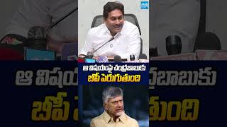 ఆ విషయంపై చంద్రబాబుకు బీపీ పెరుగుతుంది.. #ysjagan #chandrababu  #naralokesh #sakshitvlive Profile