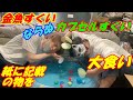 【祭り】自宅で金魚すくいならぬカプセルすくい大食いやったら楽しすぎた( *´艸｀)