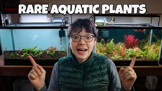 Setting Up RARE AQUATIC PLANTED AQUARIUM!