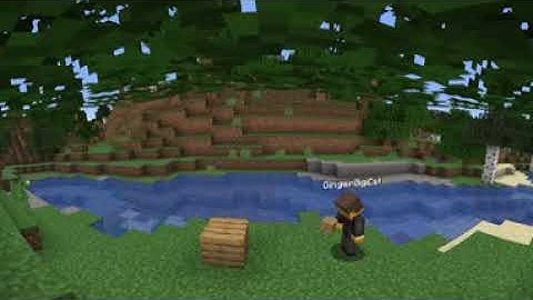 POV: You are a tree in Minecraft (360 degree vr)