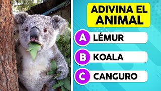 Adivina el Animal Correcto | Test de 50 + 1 Animales ?