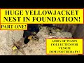 HUGE YELLOWJACKET WASP NEST IN BLOCK FOUNDATION (PART ONE)! 1000's OF WASPS REMOVED WITHOUT POISON!
