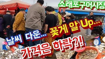날씨가 추워지면서 암꽃게는 알차고, 오늘 가격은 다운 되었다.
