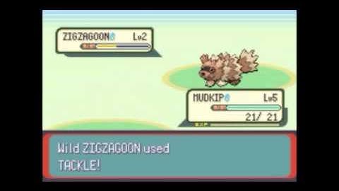 Pokémon Emerald Speed Run Segment 2