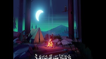 ولا تشتروا بعهد الله ثمنا قليلا | حالات واتس #القارئ_محمد_فيصل