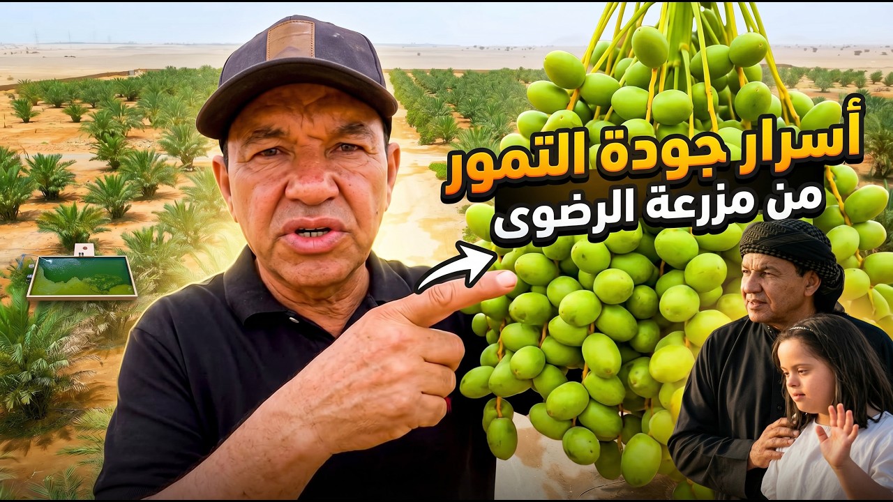 مزرعة مجهول نموذجية في ليبيا🌴🇱🇾