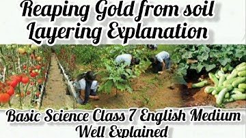 Basic Science Standard 7 |Reaping gold From Soil |Part 2| Layering |English Medium Well Explained ||