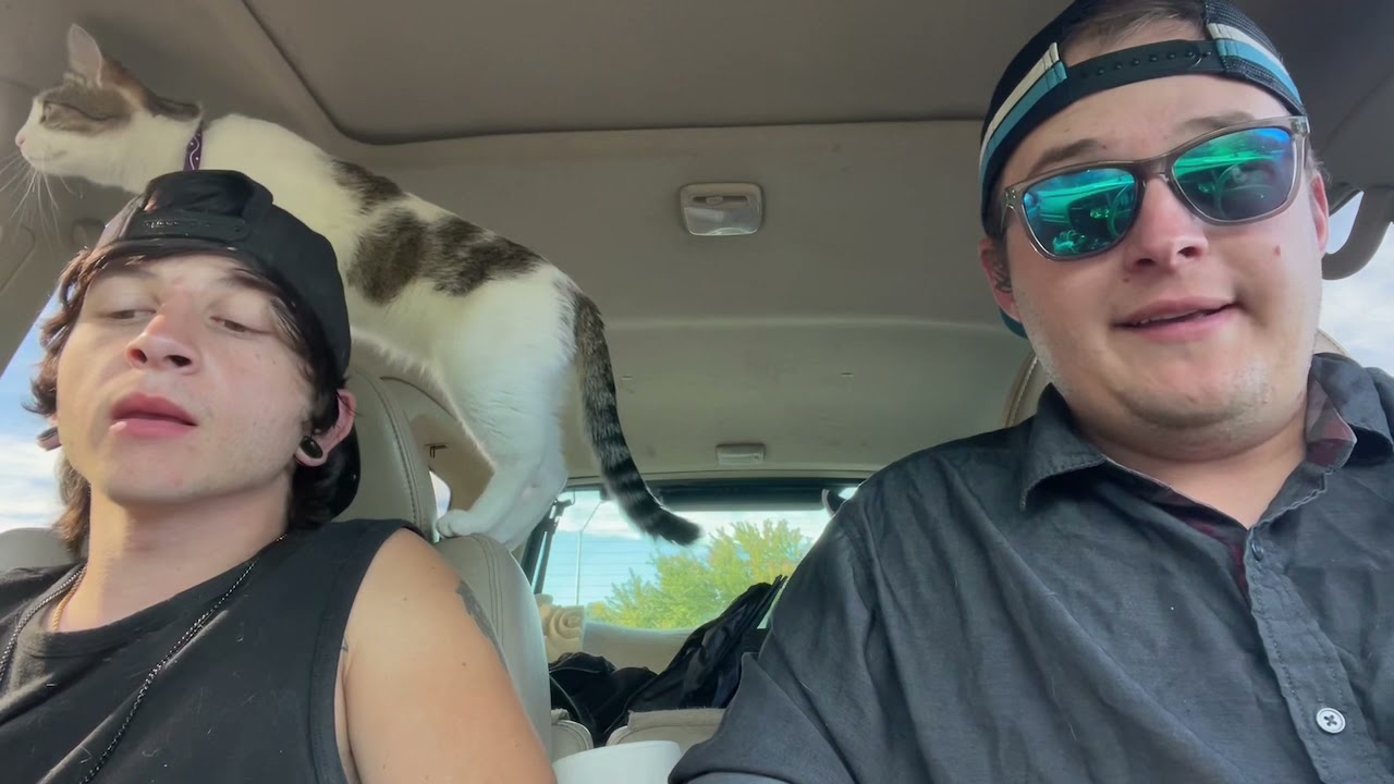 Cherry Cheesecake REVIEW! Smoke Sesh!