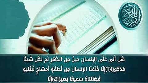 __ سورة الإنسان __ علي جابر __