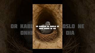 Ghar-e-Saur (Cave of Thawr) – Historic Cave in Makkah #safarvibes #makkahlive