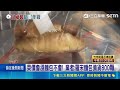 菜價會漲麵包不會! 巴威逼近民眾瘋囤糧! 泡麵.麵包庫存增逾1倍 連鎖賣場泡麵架下午就全空｜三立新聞LIVE