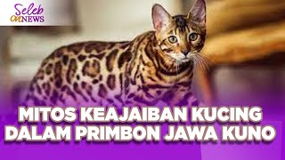 MITOS KEAJAIBAN KUCINGDALAM PRIMBON JAWA KUNO - SELEB ON NEWS