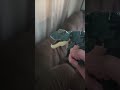 macaroni.. with the chicken strips... AUGH~~ #funny #comedy #dinosaur #trex