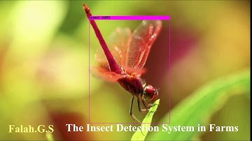 The Insect Detection System