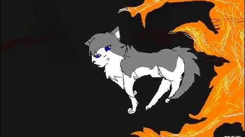 (Warrior cats) Light em up MAP part 8