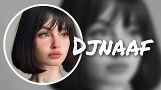 Download Lagu ميني مكس djnaaf MP3