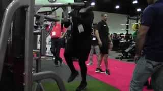 Bilt By Agi And Reyes Ihrsa 2015