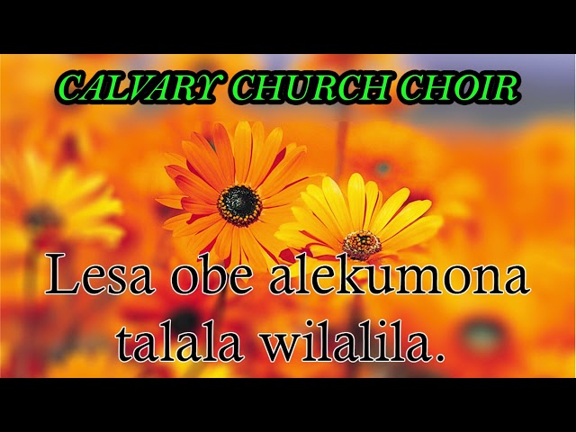 Calvary church choir. Lesa obe alekumona talala. class=