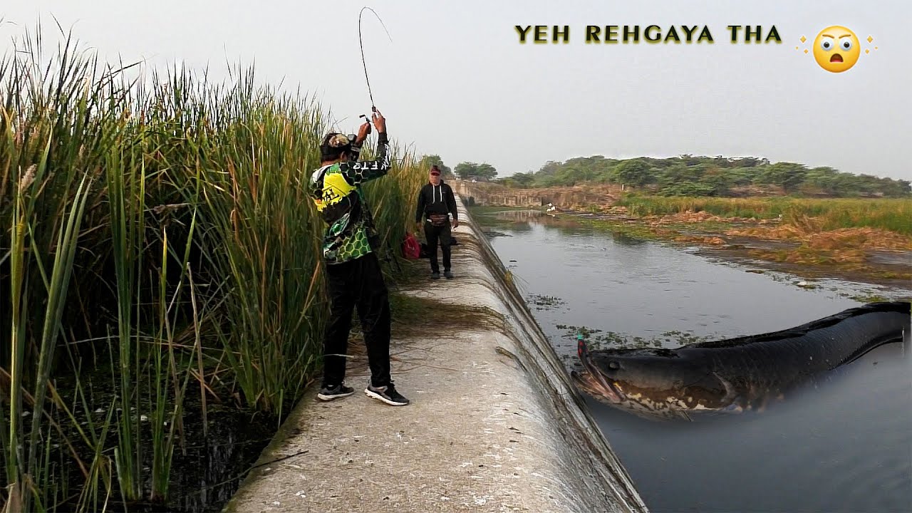 Snakehead fishing best time