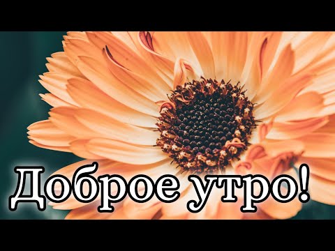 ❤️❤️❤️ПОЖЕЛАНИЕ НА ВЕСЬ ДЕНЬ❤️❤️❤️ С Добрым Утром Хорошего Дня. Доброе Утро! СТИХ