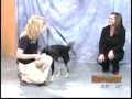 Lisa Gerard - Bark Busters Home Dog Training - Recall Lisa Gerard - Bark Busters Home Dog Training - Recall