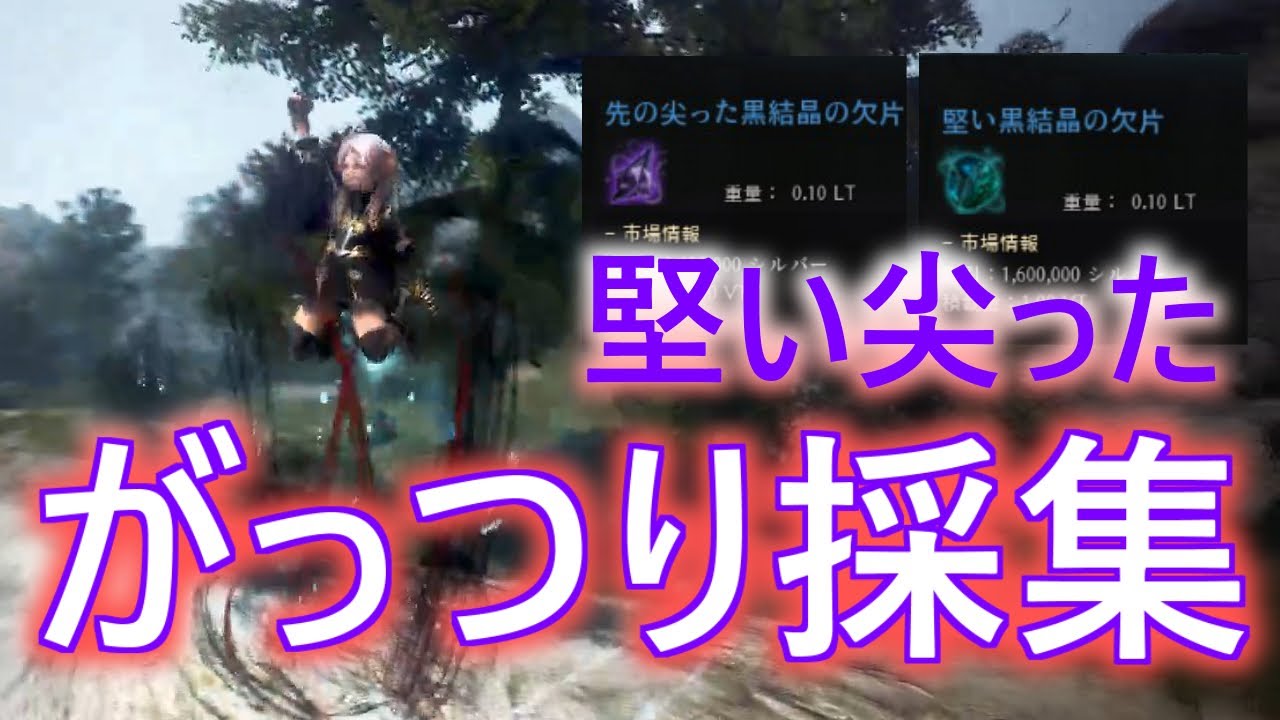 黒い砂漠ｐｃ 初心者でもカタトガ大量獲得するにはこれ 魔力が込められた道具ッ 黒い砂漠情報局