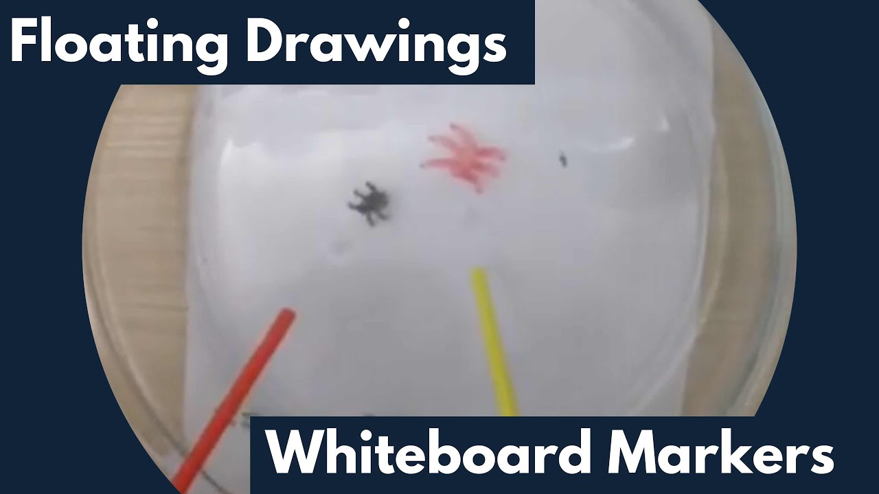 Amazing Dry Erase and Water Experiment - Floating Hearts - Happy Hooligans